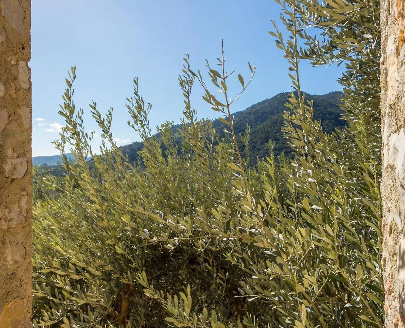 Finca Es Castell Binibona Szálloda