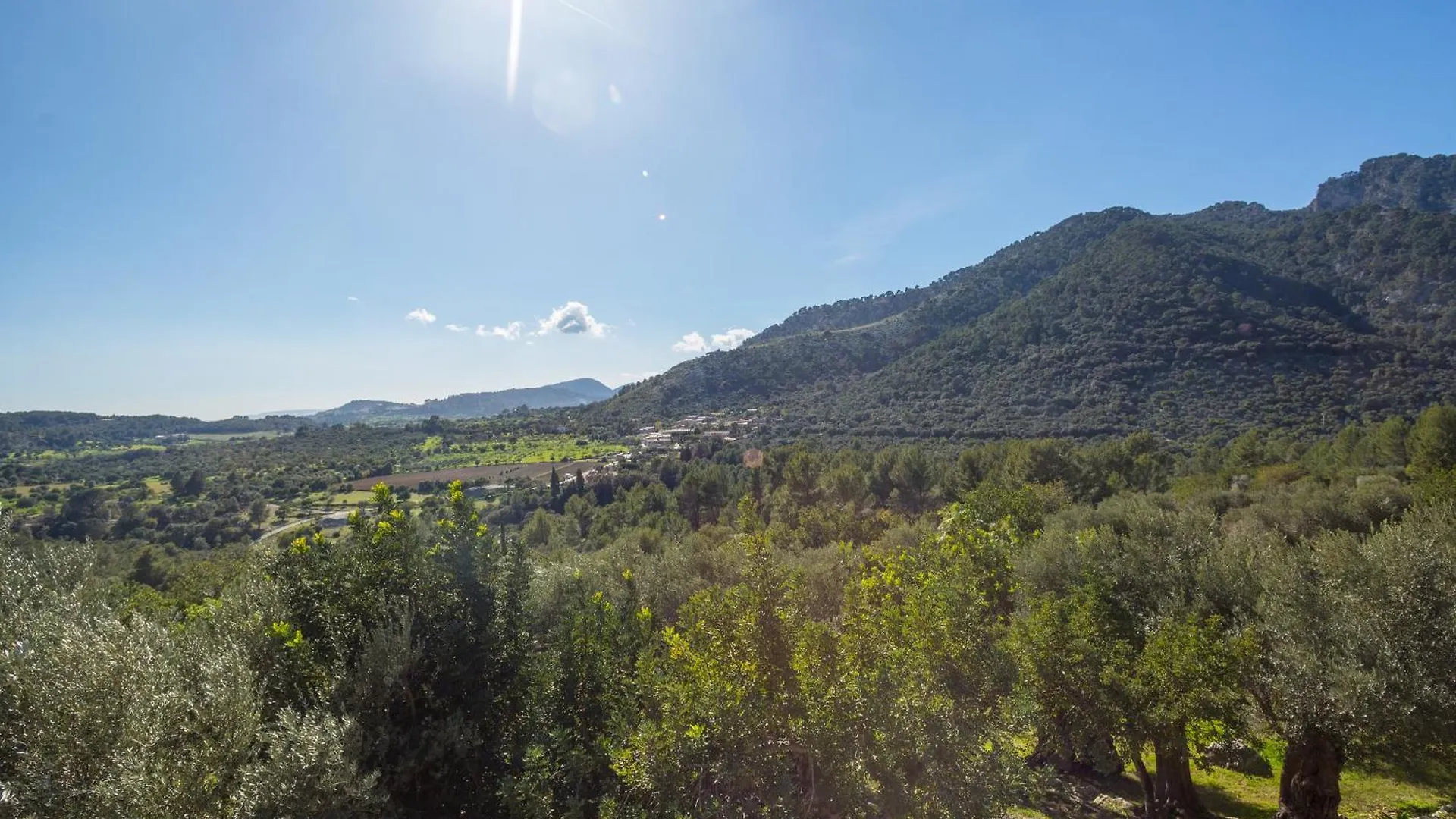 Finca Es Castell Binibona Hotel